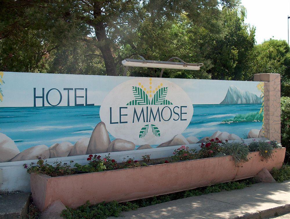 Hotel Le Mimose 3*
