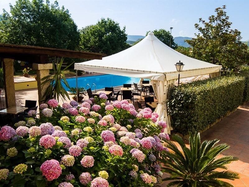 Le Mimose