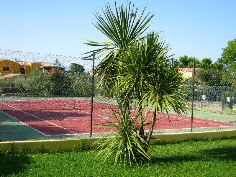 Le Mimose 3*